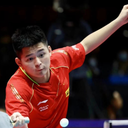 球队的赛季 球队的赛季